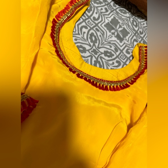 Punjabi palazzo suit - Picture 3 of 10